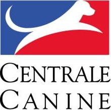 Logo SCC